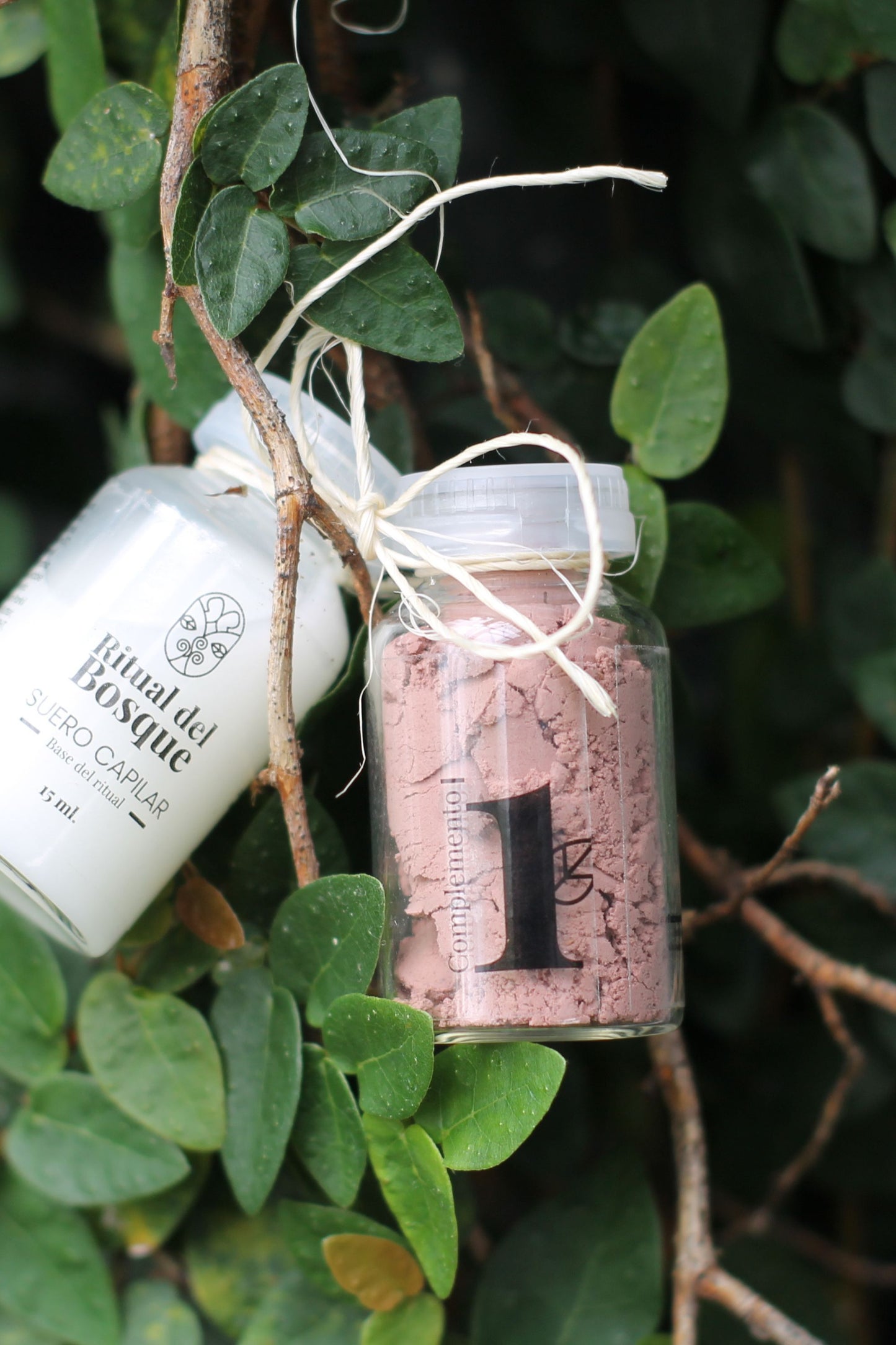 Terapia capilar intensiva ritual del Bosque