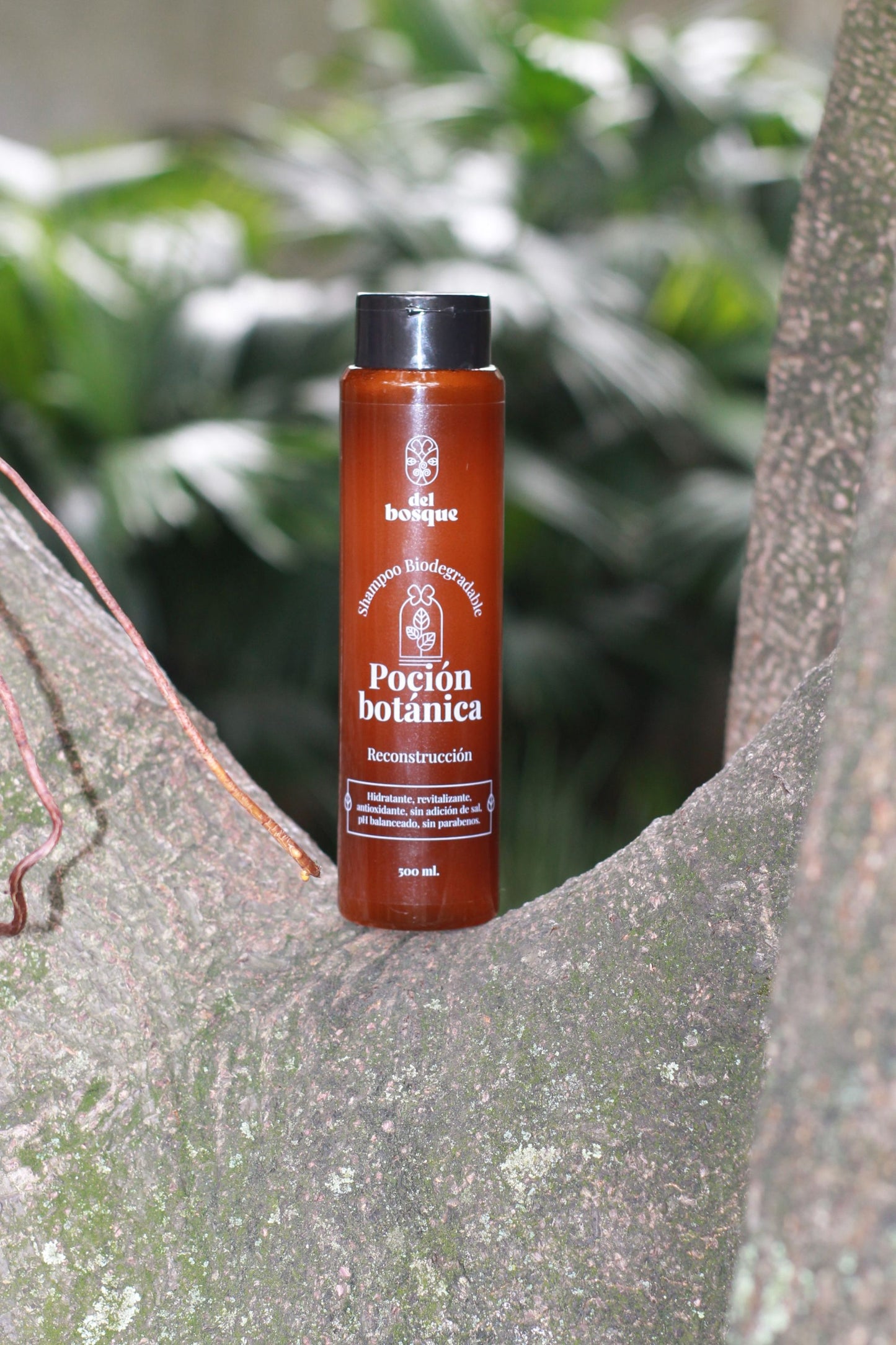 Shampoo Hidratante y Revitalizante 500 mL  Poción Botánica