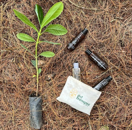 Kit viajero del Bosque