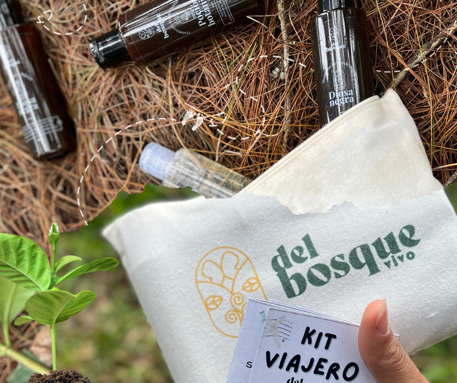 Kit viajero del Bosque