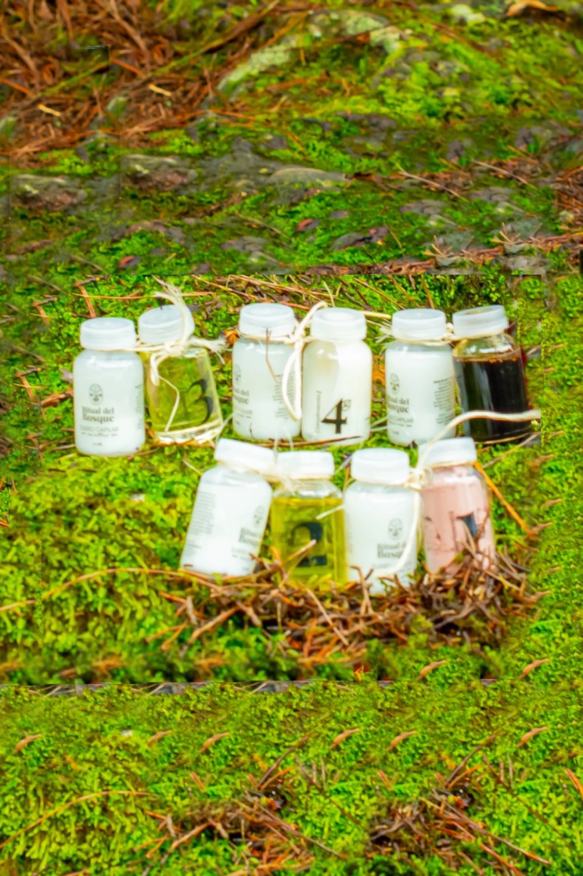 Terapia capilar intensiva ritual del Bosque